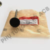 14711 Rna A00 2