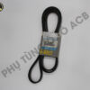 Dây Tổng Mazda 3 1.6 6Pk2022
