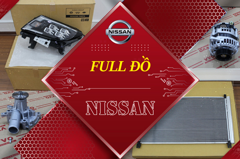 nissab-100